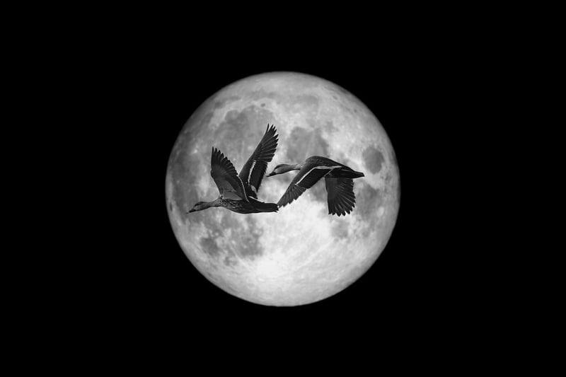 Moonlit Mail